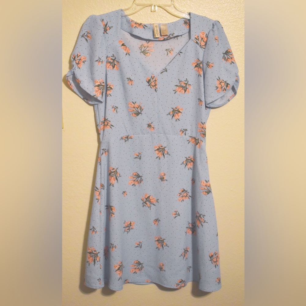 Light Blue Pink Floral Dress